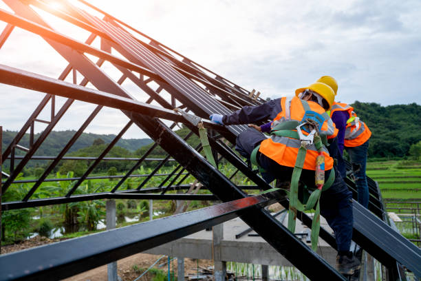 Best New Roof Installation  in Newhall, IA