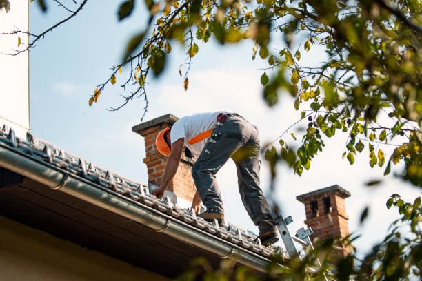 Best Roof Repair Services  in Newhall, IA