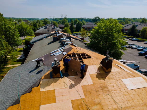 Best Metal Roofing Contractor  in Newhall, IA