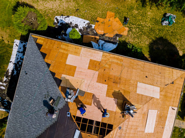 Best Emergency Roof Repair  in Newhall, IA