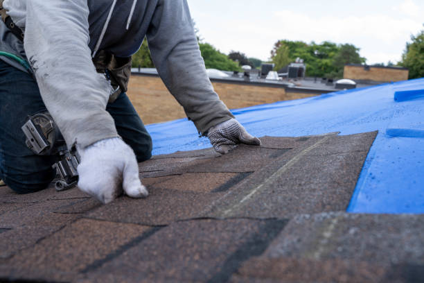 Best Metal Roofing Contractor  in Newhall, IA