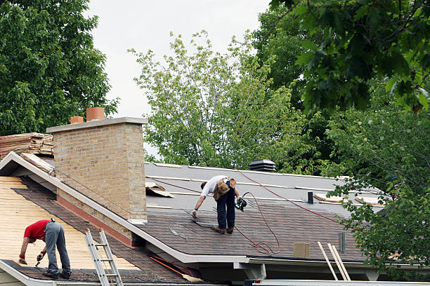 Best Roof Maintenance Services  in Newhall, IA