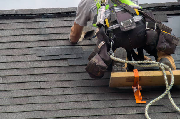Best Storm Damage Roof Repair  in Newhall, IA